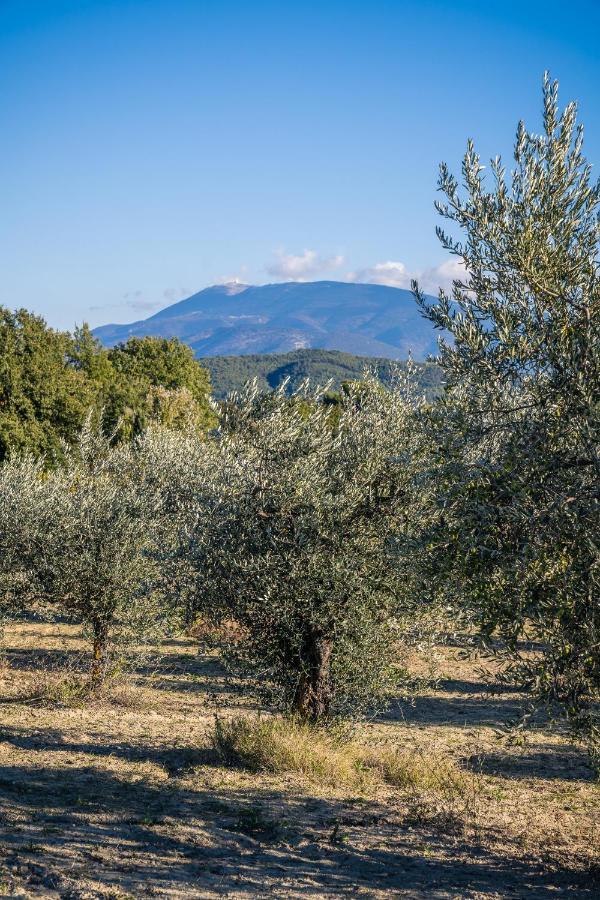 Villa Mas Provencal climatisé avec vue sur le Mont Ventoux à Vaison-la-Romaine Extérieur photo